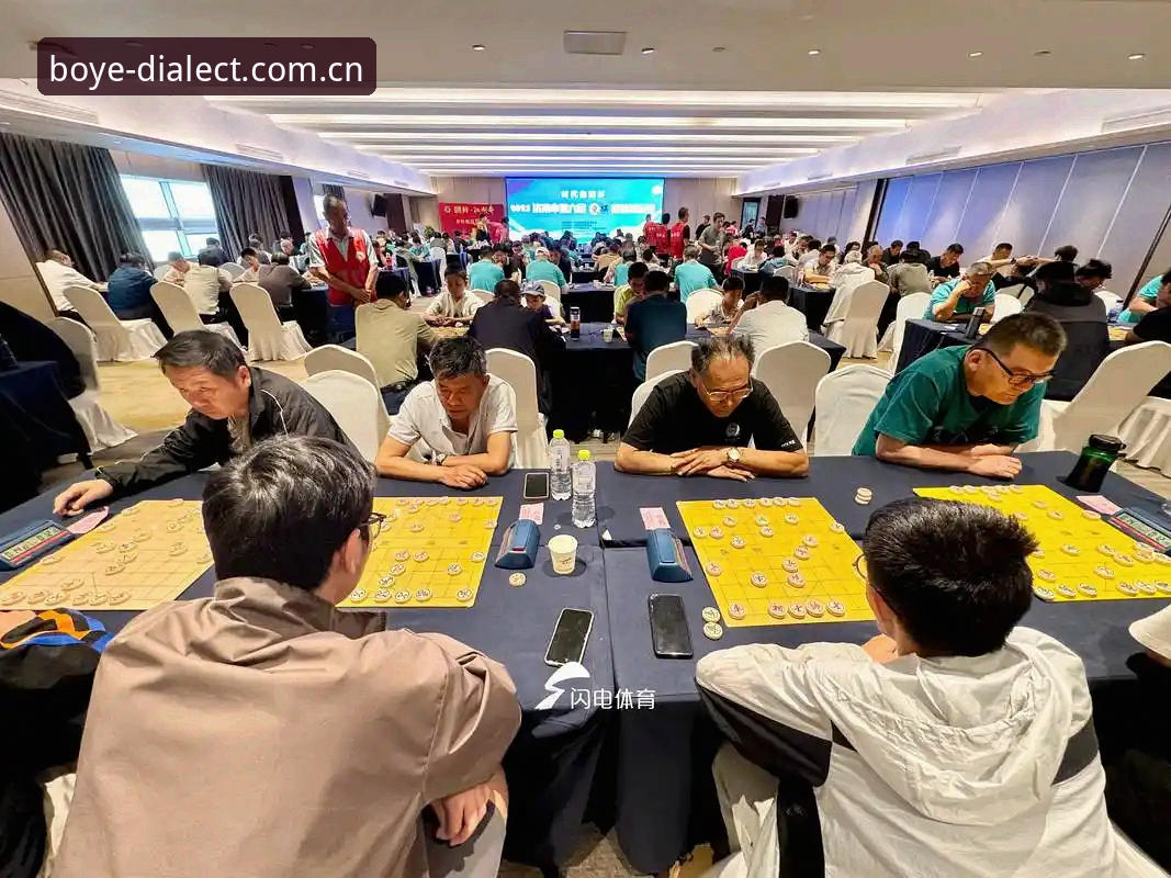 揭秘“赛局稳定 在方言城市听真实赛局APP功能详解”：当电竞解说开始说家乡话，数据背后藏着什么？