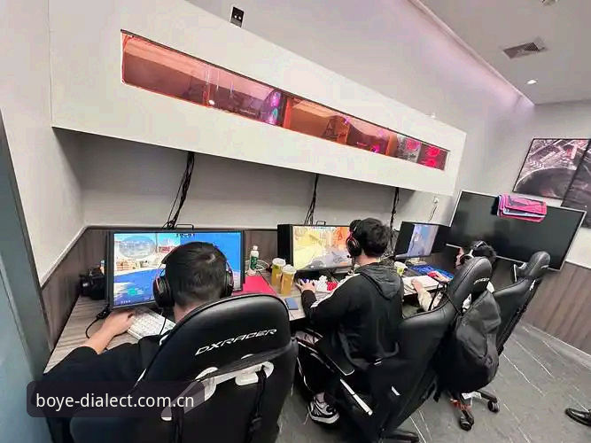 博业体育平台使用指南：听一场方言解说的电竞对决，稳定观赛不卡顿